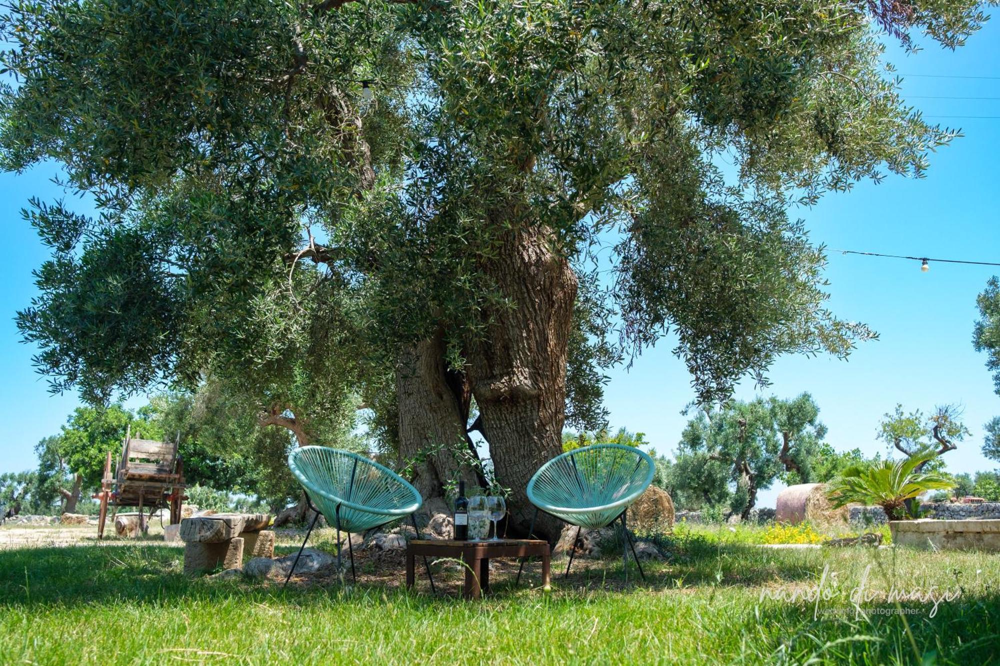 Masseria Giangrande - Rooms And Apartment Полиньяно-а-Маре Экстерьер фото